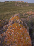 Lichen Grows on Rocks in the Little Missouri National Grasslands Lámina fotográfica por Phil Schermeister
