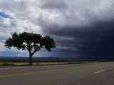 A Lone Tree on Highway 68 to Taos and Storm Clouds Photographic Print by Raul Touzon