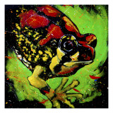 Rainbow Frog Giclee Print