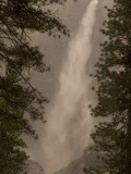Bridalveil Fall in Yosemite National Park Framed by Two Pine Trees Photographic Print by Phil Schermeister