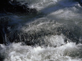Water Burbling and Frothing Through the Nantahala River Gorge Photographic Print by Raymond Gehman