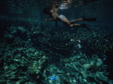 A Diver Above a Directional Sign on the Sea Floor Photographie par Jodi Cobb