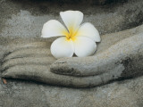 Buddha at Wat Yai Chai Khon Photographie par Alison Wright