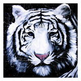 Tigre blanco Lámina giclée