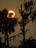 Sunset over Florida's Suwannee River Photographie par Jodi Cobb