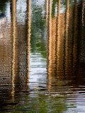 Reflections in a Lagoon Photographie par Jodi Cobb