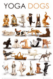 YOGA DOGS - Reprodüksiyon