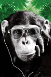 MONKEY - Shades Poster