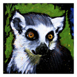 Ringtail Lemar Giclee Print