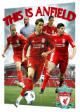 LIVERPOOL - Players 10/11, 3-D Poster Poster