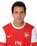 Arsenal_Fabregas-Headshot Foto