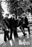 BEATLES - Pose - Poster BEATLES - Pose - Poster