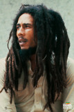 BOB MARLEY - Lion Affischer
