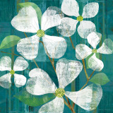 White Magnolias Square Poster by Maria Carluccio