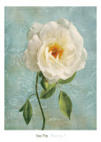 Purity I Posters par Janel Pahl