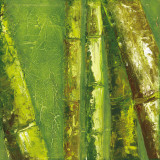 Bamboo Columbia I Kunstdrucke von Tita Quintero