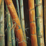 Caribbean Bamboo II Prints by Tita Quintero