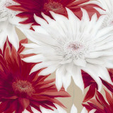 Elation II Posters by Sally Scaffardi