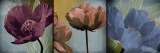 Blooming Jewels Affiches par Robert Lacie