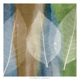 Leaf Structure II Affiches par John Rehner