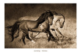 La danse Affiches par Lisa Dearing