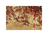 Colorful Season I Giclée-Druck von Pela & Silverman 