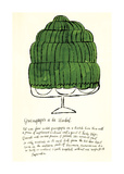Wild Raspberries, c.1959 (green) Giclee Print by Andy Warhol