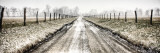 Picket Path Posters by Todd Ridge