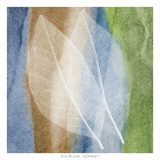 Leaf Structure I Affiche par John Rehner