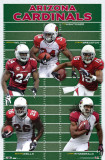 Cardinals - Group 2010 Posters