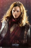 Harry Potter and the Deathly Hallows - Hermione Prints