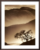Desert Dreams II Prints Desert Dreams II Prints