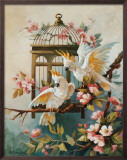 Cockatoo and Blossoms Art by Maxine Johnston Cockatoo and Blossoms Art by Maxine Johnston
