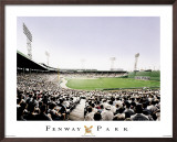 Fenway Park Poster por Darryl Vlasak Fenway Park Poster por Darryl Vlasak