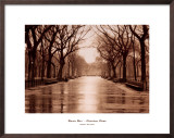 Rainy Day, Central Park Posters by Sergei Beliakov Rainy Day, Central Park Posters by Sergei Beliakov