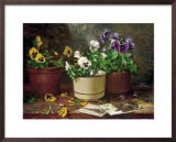 Pansies in Terra Cotta Posters por Del Gish Pansies in Terra Cotta Posters por Del Gish