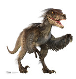 Velociraptor Stand Up