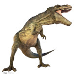 T Rex Imagen a tamaño natural
