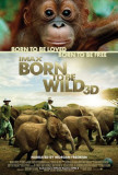 Born To Be Wild Posters
