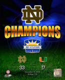 Notre Dame Fighting Irish Sun Bowl Champions Composite Photo Notre Dame Fighting Irish Sun Bowl Champions Composite Photo