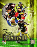 Troy Polamalu 2011 Portrait Plus Photo