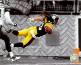 Troy Polamalu 2010 Spotlight Action Photo
