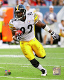 James Harrison 2010 Action Photo