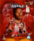 Derrick Rose 2011 Portrait Plus Photo