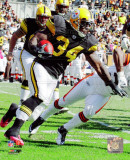 Rashard Mendenhall 2010 Action Photo