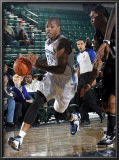 Austin Toros v Texas Legends: Rashad McCants Prints by Layne Murdoch