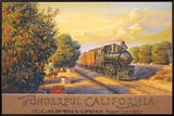 Wonderful Califonia Framed Canvas Print by Kerne Erickson