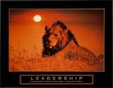 Leadership: Lion Framed Canvas Print