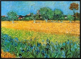 View of Arles with Irises Framed Canvas Print by Vincent van Gogh