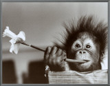 Hair Raising Experience Framed Canvas Print by Mike Hollist